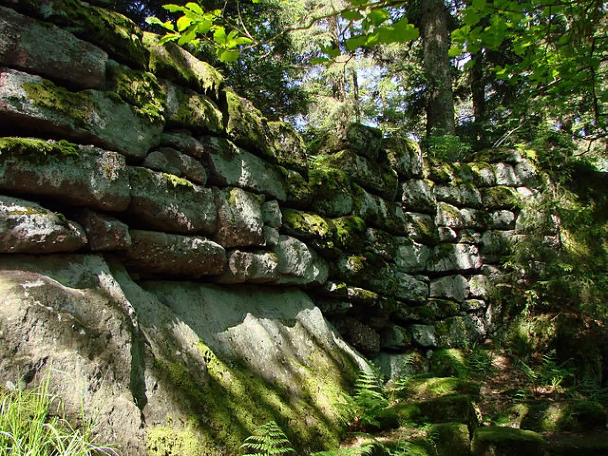 Le Mur Païen — blocs cyclopéens couverts de mousse en forêt vosgienne